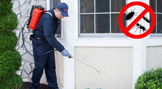 Zile Akrep İlaçlama böcek ilaçlama ve haşere kontrolü — ilaclama-tr.com